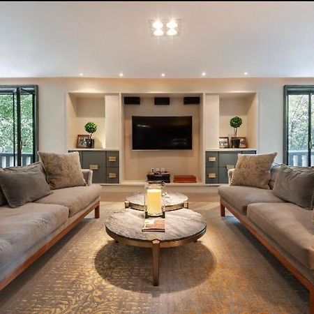 מקסיקו סיטי Condesa Super Loft Apartment מראה חיצוני תמונה